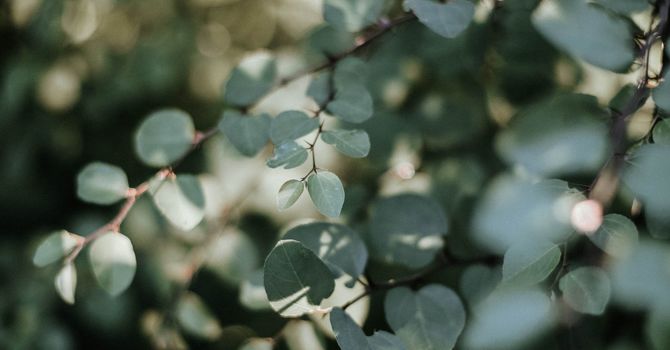 Craniosacral Therapy