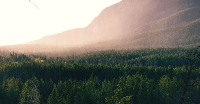 Craniosacral Therapy